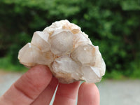 Natural Spirit Quartz Clusters x 35 From Boekenhouthoek, South Africa