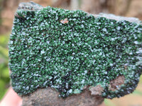 Natural Libethenite Crystals On Dolomite Matrix Specimens x 4 From Shituru, Congo