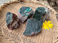 Natural Libethenite Crystals On Dolomite Matrix Specimens x 4 From Shituru, Congo