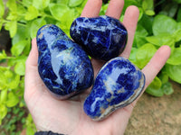 Polished Sodalite Fruit Carvings x 6 From Namibia