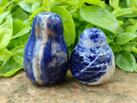 Polished Sodalite Fruit Carvings x 6 From Namibia