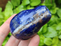 Polished Sodalite Fruit Carvings x 6 From Namibia