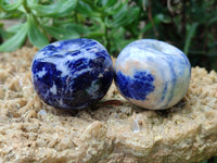 Polished Sodalite Fruit Carvings x 6 From Namibia