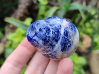 Polished Sodalite Fruit Carvings x 6 From Namibia