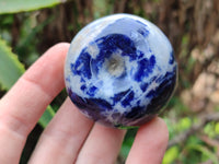 Polished Sodalite Fruit Carvings x 6 From Namibia