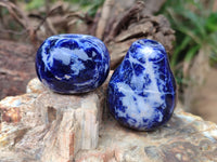 Polished Sodalite Fruit Carvings x 6 From Namibia