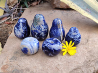 Polished Sodalite Fruit Carvings x 6 From Namibia