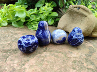 Polished Sodalite Fruit Carvings x 6 From Namibia