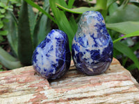 Polished Sodalite Fruit Carvings x 6 From Namibia