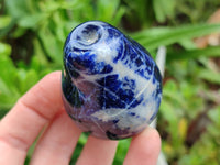 Polished Sodalite Fruit Carvings x 6 From Namibia