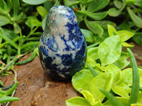 Polished Sodalite Fruit Carvings x 6 From Namibia