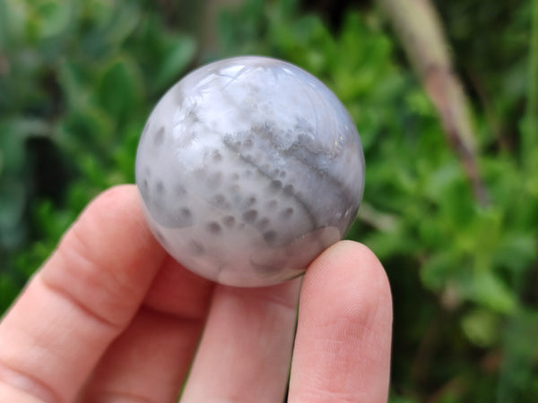 Polished Ocean Jasper Spheres x 20 From Madagascar