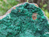 Natural Botryoidal Malachite Specimens x 2 From Tenke Fungurume, Congo