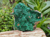 Natural Botryoidal Malachite Specimens x 2 From Tenke Fungurume, Congo