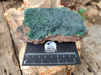 Natural Botryoidal Malachite Specimens x 2 From Tenke Fungurume, Congo