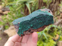 Natural Botryoidal Malachite Specimens x 2 From Tenke Fungurume, Congo