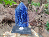 Polished Sodalite Points x 3 From Kunene River, Namibia