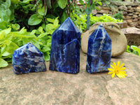 Polished Sodalite Points x 3 From Kunene River, Namibia