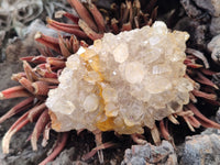 Natural Limonite Quartz Clusters x 24 From Solwezi, Zambia