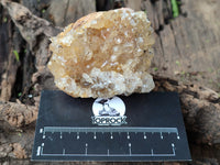 Natural Limonite Quartz Clusters x 24 From Solwezi, Zambia