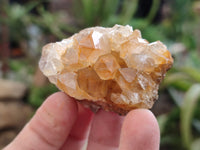 Natural Limonite Quartz Clusters x 24 From Solwezi, Zambia