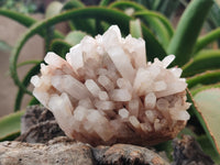 Natural Quartz Clusters and Crystals x 11 From Madagascar