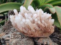 Natural Quartz Clusters and Crystals x 11 From Madagascar