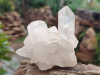 Natural Quartz Clusters and Crystals x 11 From Madagascar