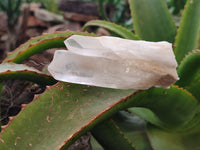 Natural Quartz Clusters and Crystals x 11 From Madagascar