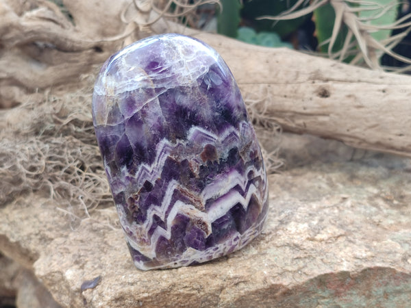 Polished Chevron Amethyst Standing Free Forms x 2 from Zambia