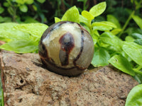 Polished Septerye Spheres x 6 From Mahajanga, Madagascar