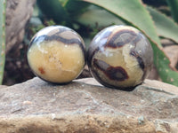 Polished Septerye Spheres x 6 From Mahajanga, Madagascar