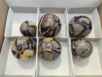 Polished Septerye Spheres x 6 From Mahajanga, Madagascar