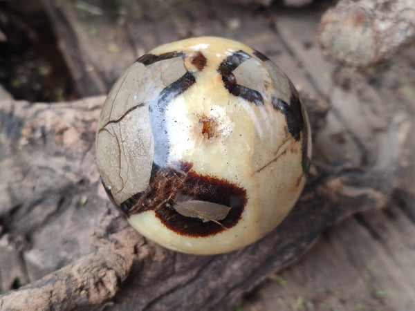 Polished Septerye Spheres x 6 From Mahajanga, Madagascar