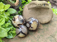 Polished Septerye Spheres x 6 From Mahajanga, Madagascar