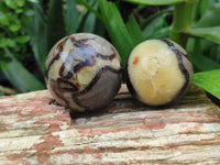 Polished Septerye Spheres x 6 From Mahajanga, Madagascar