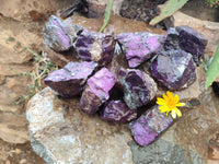 Natural Metallic Purpurite Cobbed Specimens x 12 From Erongo, Namibia