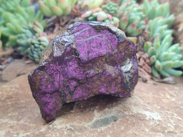 Natural Metallic Purpurite Cobbed Specimens x 12 From Erongo, Namibia