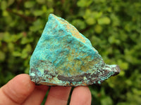 Natural Shattuckite with Chrysocolla and Malachite x 35 from Kaokoveld, Namibia