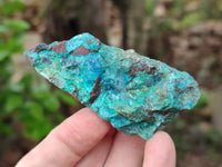 Natural Shattuckite with Chrysocolla and Malachite x 35 from Kaokoveld, Namibia