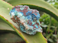 Natural Shattuckite with Chrysocolla and Malachite x 35 from Kaokoveld, Namibia