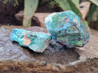 Natural Shattuckite with Chrysocolla and Malachite x 35 from Kaokoveld, Namibia