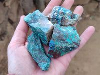 Natural Shattuckite with Chrysocolla and Malachite x 35 from Kaokoveld, Namibia