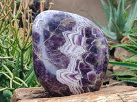 Polished Chevron Amethyst Standing Free Form x 1 from Zambia