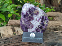 Polished Chevron Amethyst Standing Free Form x 1 from Zambia