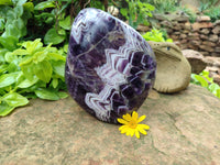 Polished Chevron Amethyst Standing Free Form x 1 from Zambia