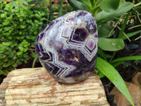 Polished Chevron Amethyst Standing Free Form x 1 from Zambia