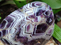 Polished Chevron Amethyst Standing Free Form x 1 from Zambia