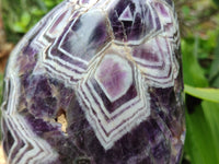 Polished Chevron Amethyst Standing Free Form x 1 from Zambia