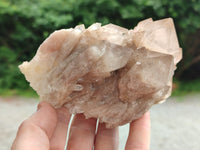 Natural Smokey Phantom Quartz Clusters x 2 From Luena, Congo